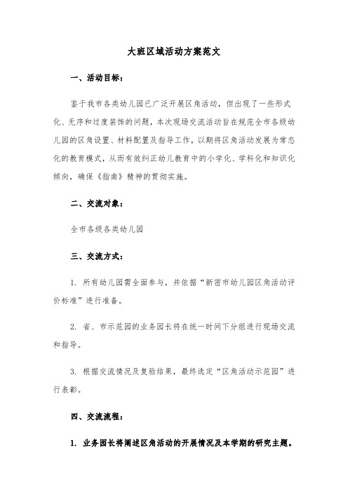 大班区域活动方案范文（五篇）