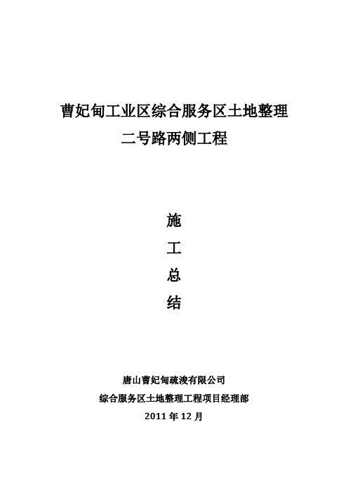 综合服务区土地整理工程二号路两侧施工总结