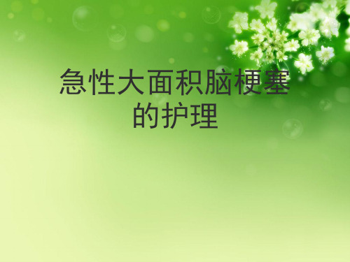 急性大面积脑梗塞的护理优秀课件