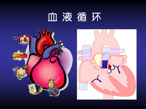 血管