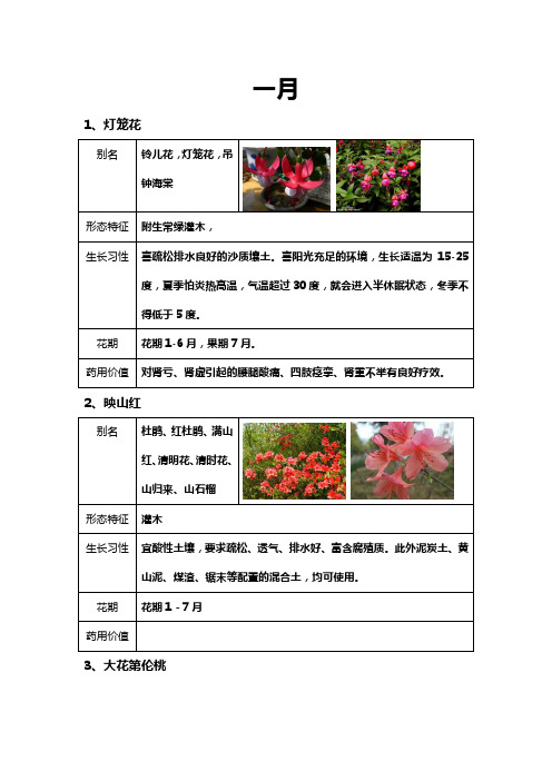 12个月各月开花植物123