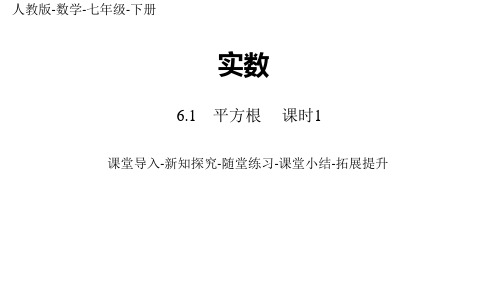 部编人教版数学七年级下册优质课件 6.1平方根课时1