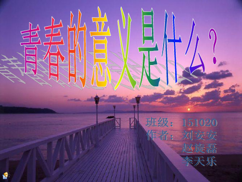青春的意义