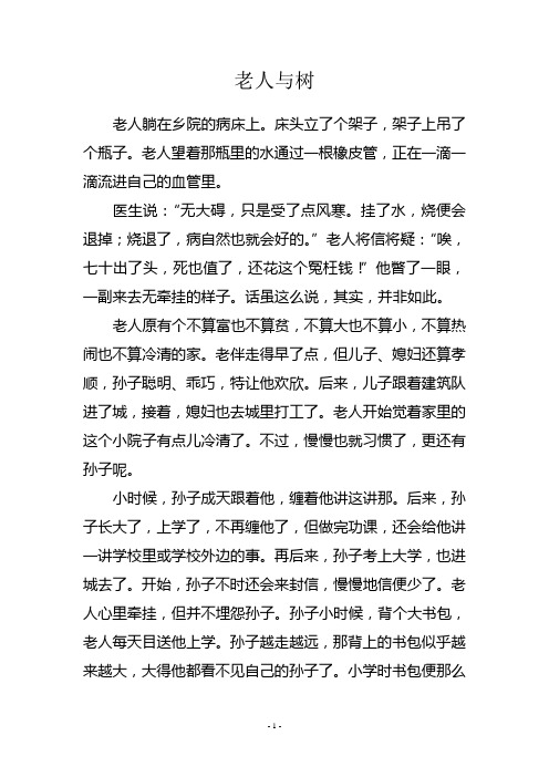 老人与树