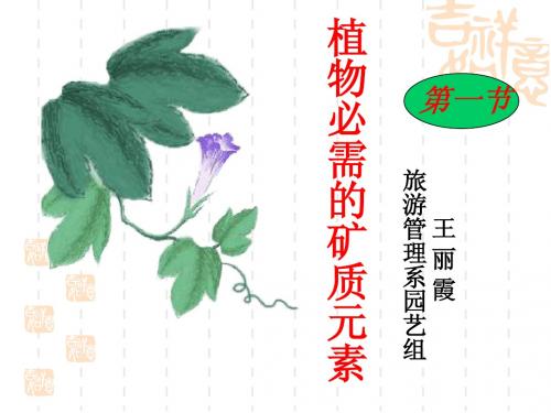 植物必需的矿质元素