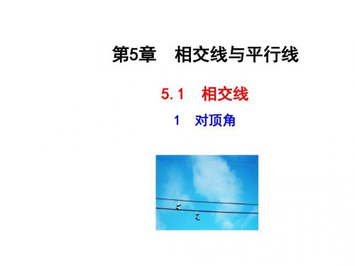 5.1.1《对顶角》ppt课件全面版