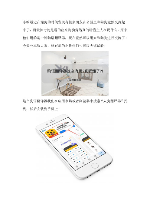 狗语翻译器真的这么有用吗？