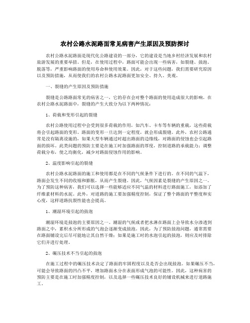 农村公路水泥路面常见病害产生原因及预防探讨