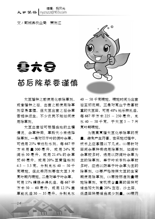 夏大豆苗后除草要谨慎