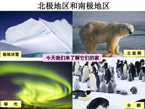7.5 北极地区和南极地区课件