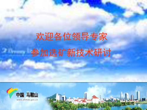 选矿生产过程自动控制