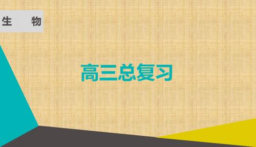 (通用版)高考生物微一轮复习 第一单元 细胞及其分子组成 第四讲 核酸、糖类和脂质名师课件