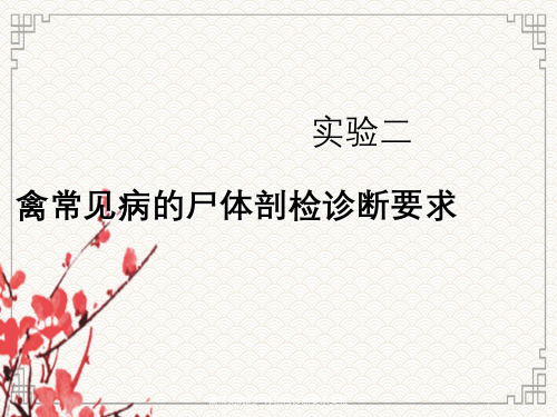 禽常见病尸体剖检诊断要求实验