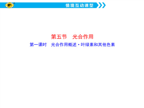 第一课时--光合作用概述·叶绿素和其他色素PPT课件