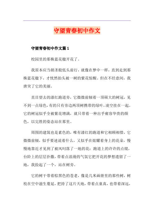 守望青春初中作文