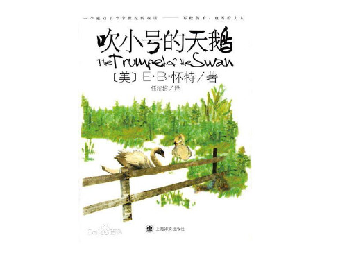 《吹小号的天鹅》赏析