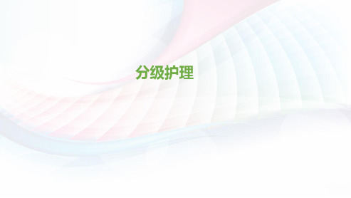 分级护理  ppt课件