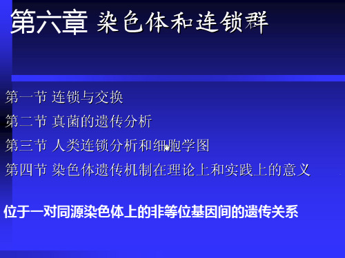 第六章 染色体和连锁群1