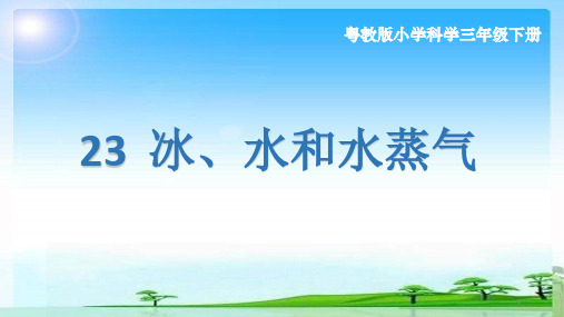 23 冰、水和水蒸气ppt课件