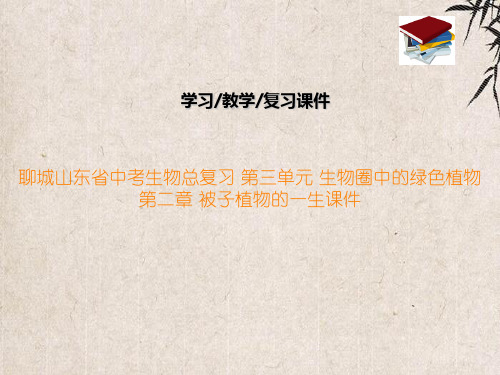 中考生物总复习 第三单元 生物圈中的绿色植物 第二章 被子植物的一生课件2