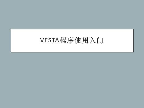 Vesta程序使用入门