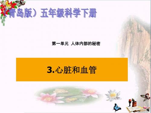 五年级科学上册第8课心脏和血管PPT课件1青岛版