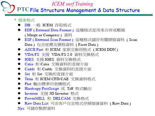 icemsurf 文件数据结构
