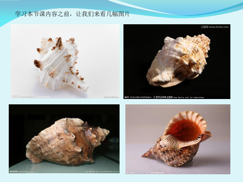部编小学音乐四年级《唱歌 小螺号》李欣荣PPT课件 一等奖新名师优质公开课获奖比赛人教