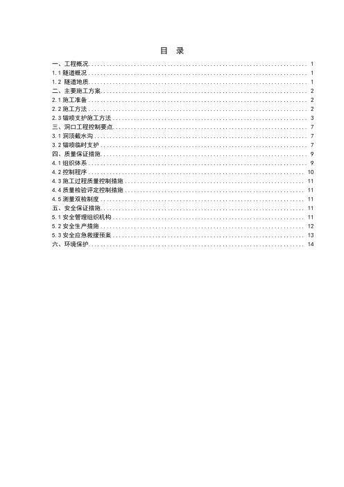 洞口边仰坡防护方案