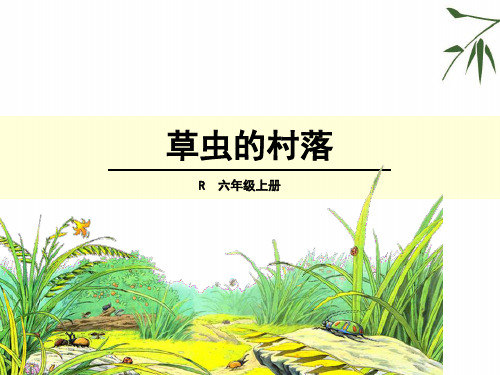 (赛课课件)人教部编版六年级上册语文《草虫的村落》(共33张PPT)