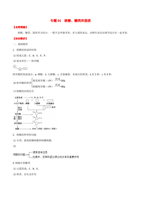山东省2020年高考生物一轮复习 考点扫描 专题04 核酸、糖类和脂质(含解析)