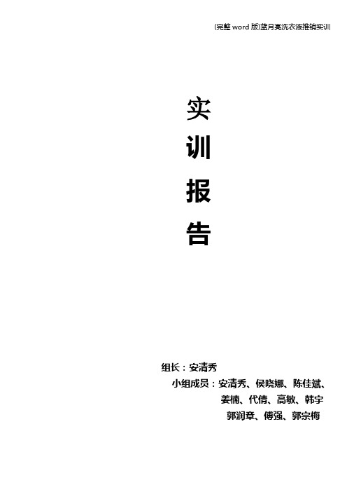 (完整word版)蓝月亮洗衣液推销实训