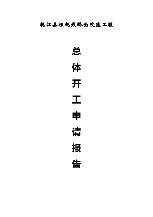 路面改造工程开工报告