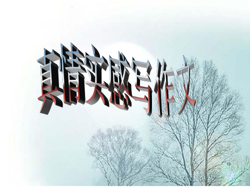 写真情实感的作文课件.ppt