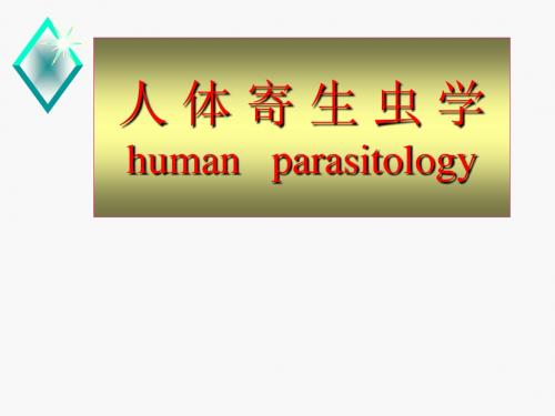 钩虫PPT医学课件