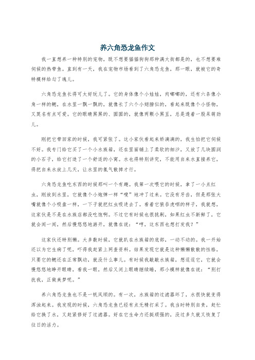 养六角恐龙鱼作文