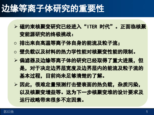 偏滤器物理研究及其面临的挑战