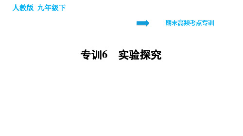 2020-2021学年人教版九年级下册化学习题课件  期末高频考点专训6 实验探究