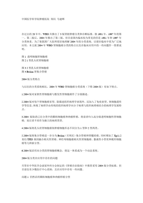 聚焦肾癌--2004 WHO肾细胞癌病理分类的应用