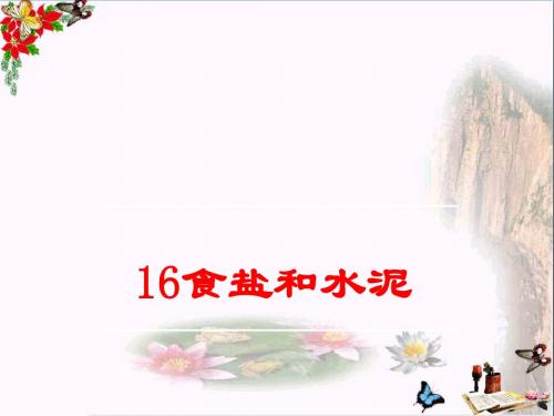 五年级科学上册第16课食盐和水泥精选教学PPT课件2青岛版
