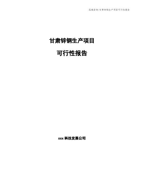甘肃锌钢生产项目可行性报告