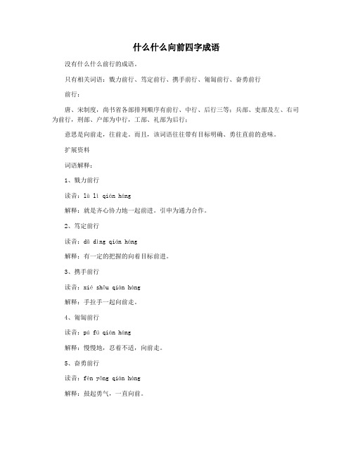 什么什么向前四字成语