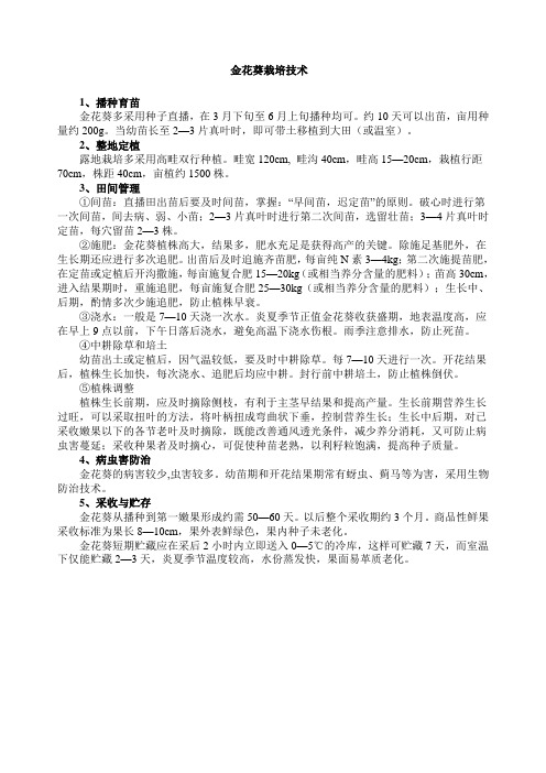 金花葵栽培技术