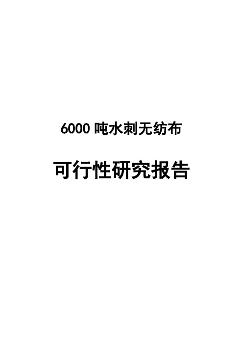 6000吨水刺无纺布可行性研究报告