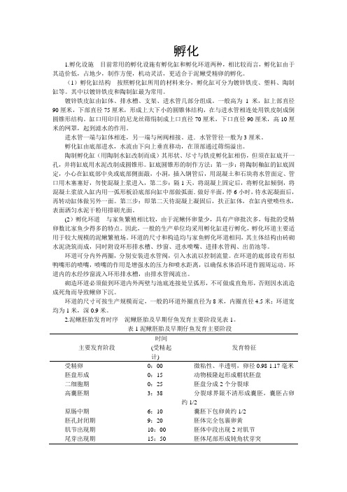 泥鳅孵化