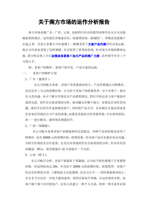 关于南方市场的运做分析报告