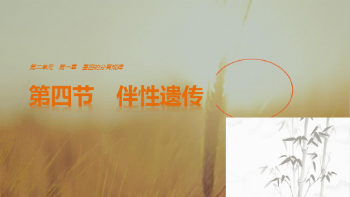 2018高中生物必修2中图版课件-第2单元第1章基因的分离规律 2.1.4伴性遗传