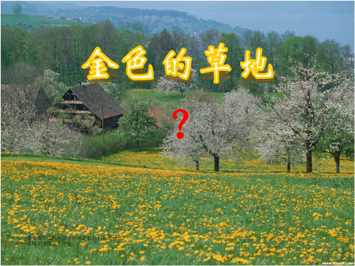 2金色的草地