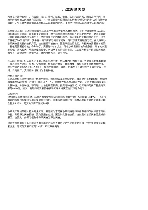 小草坝乌天麻