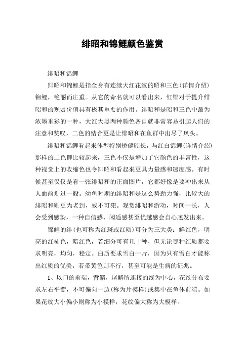 绯昭和锦鲤颜色鉴赏